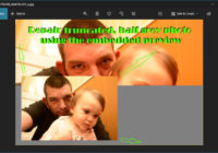 repair half grey or truncated JPEG using embedded preview