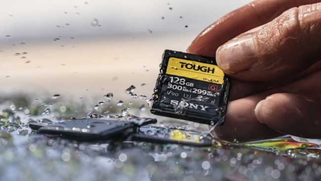 Notice of Replacement program for affected SF-M series, SF-M series TOUGH specification, and SF-G series TOUGH specification SD memory cards