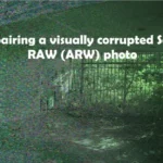 Repair a Sony RAW ARW photo (visual damage)