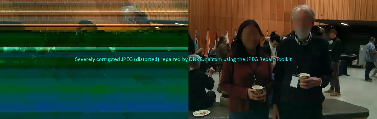 Severely distorted JPEG before and after repair by disktuna.com using the JPEG Repair Toolkit